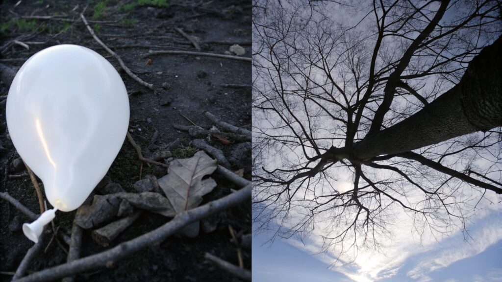 Biodegradability of Balloons