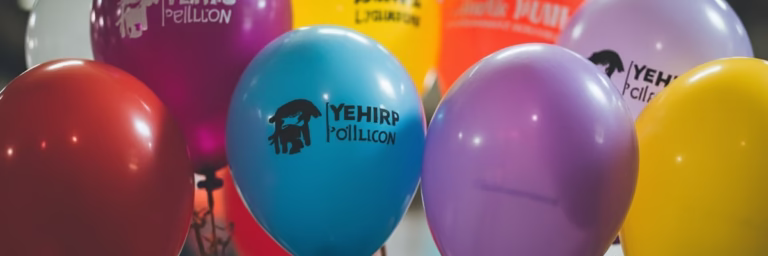 Step-by-Step Guide to Ordering Custom Balloons from a Factory
