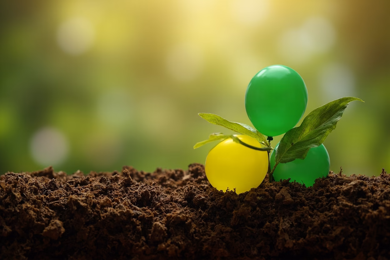 Biodegradable rubber balloons in various colors