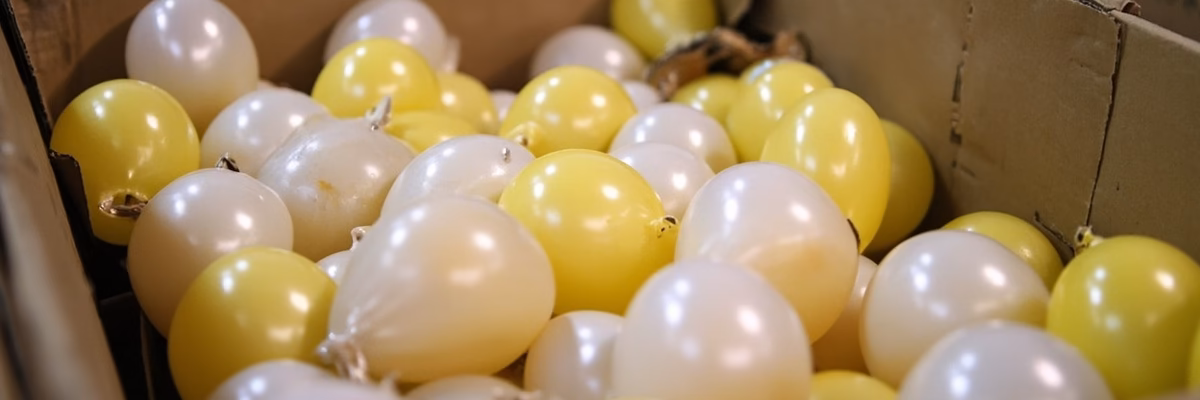 Latex balloon cartons prepared for export packaging inspection